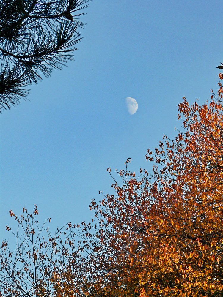 Photograph by Ирина Подушкина