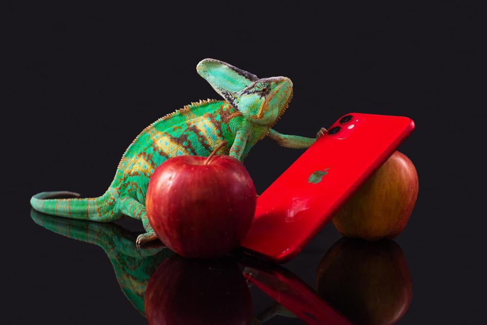 Photograph by Анжела Талибджанова