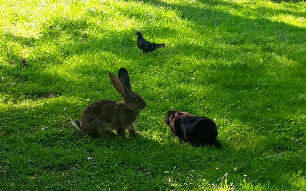 Знакомство/ Acquaintance.