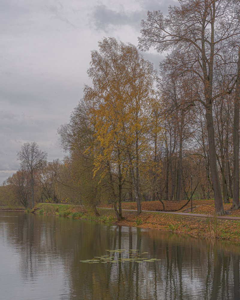 Красота унылой осени