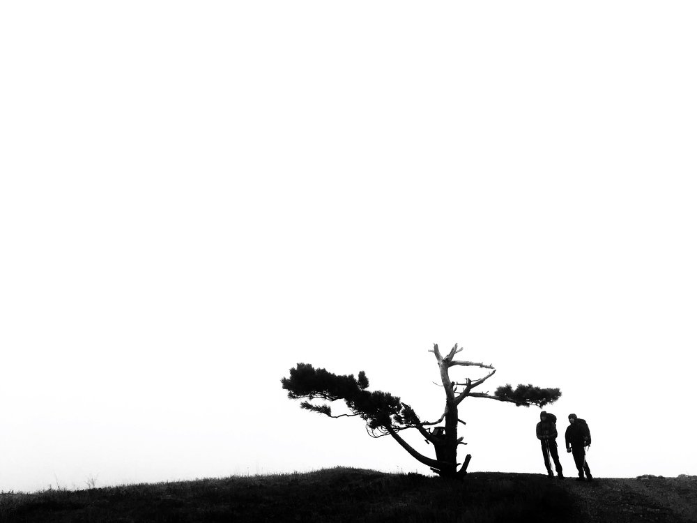 Photo #3752140