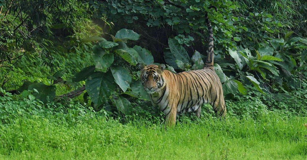 Photograph by digambar chaple