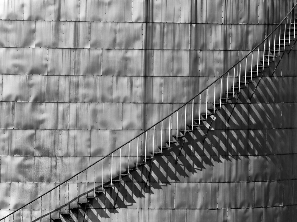 Photograph by Dragan Cerovic