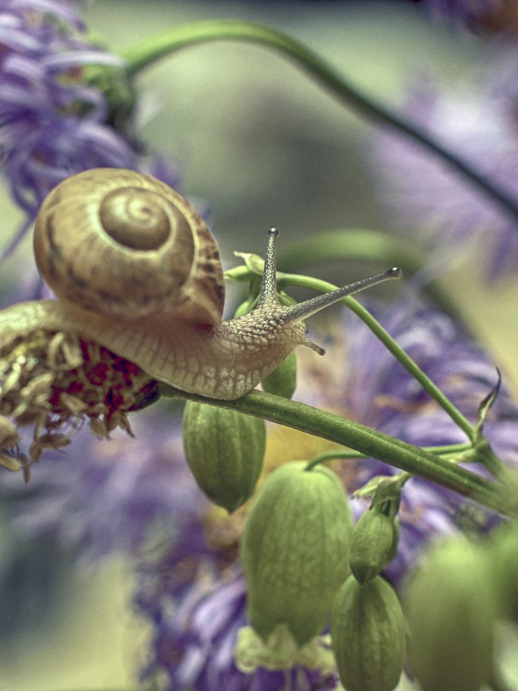 Photograph by Dragan Cerovic