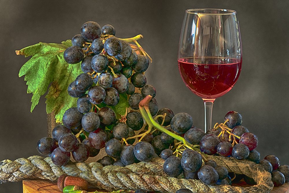 Photograph by Dragan Cerovic