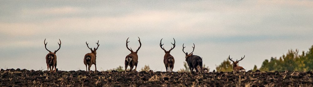 Photograph by Юрий Чернов