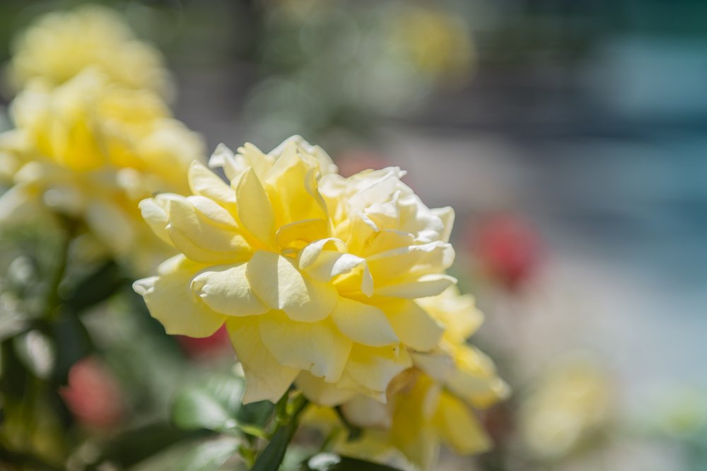 Photograph by Эрик Рахматуллин