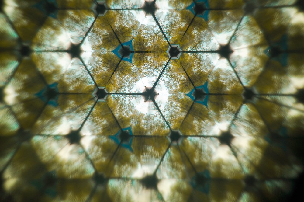 Photograph by Маргарита Рытикова