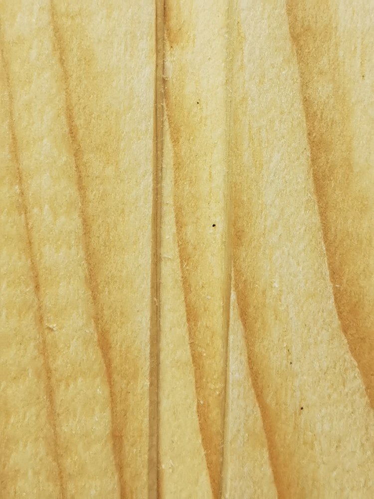 Photograph by Biljana Atanackovic