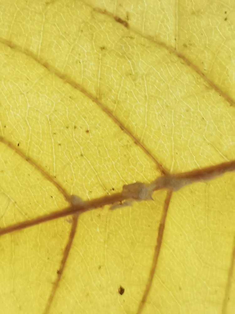 Photograph by Biljana Atanackovic