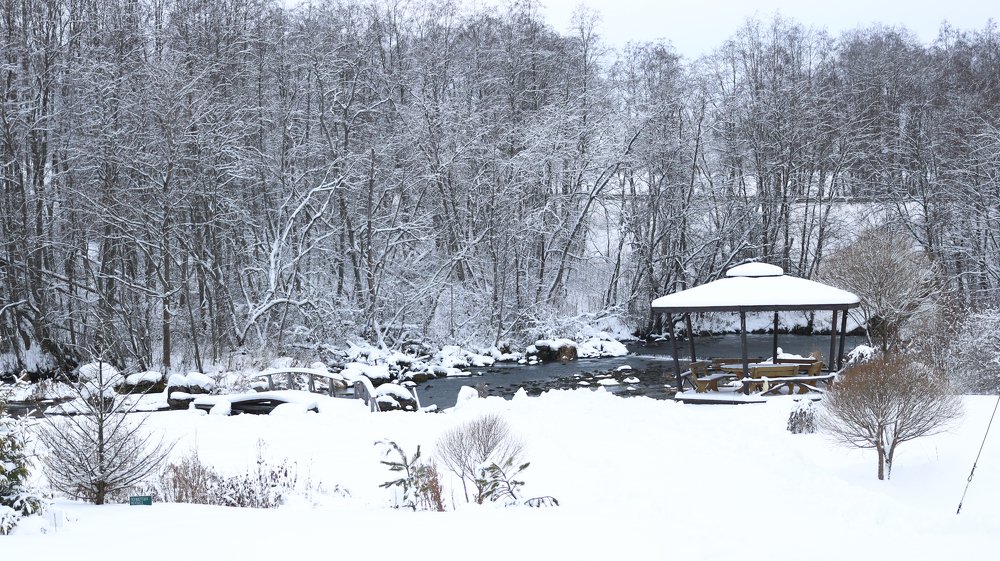 The beauty of winter