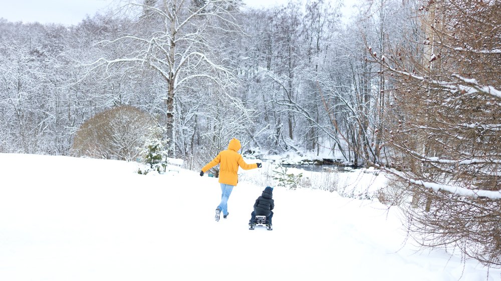 Зимняя радость