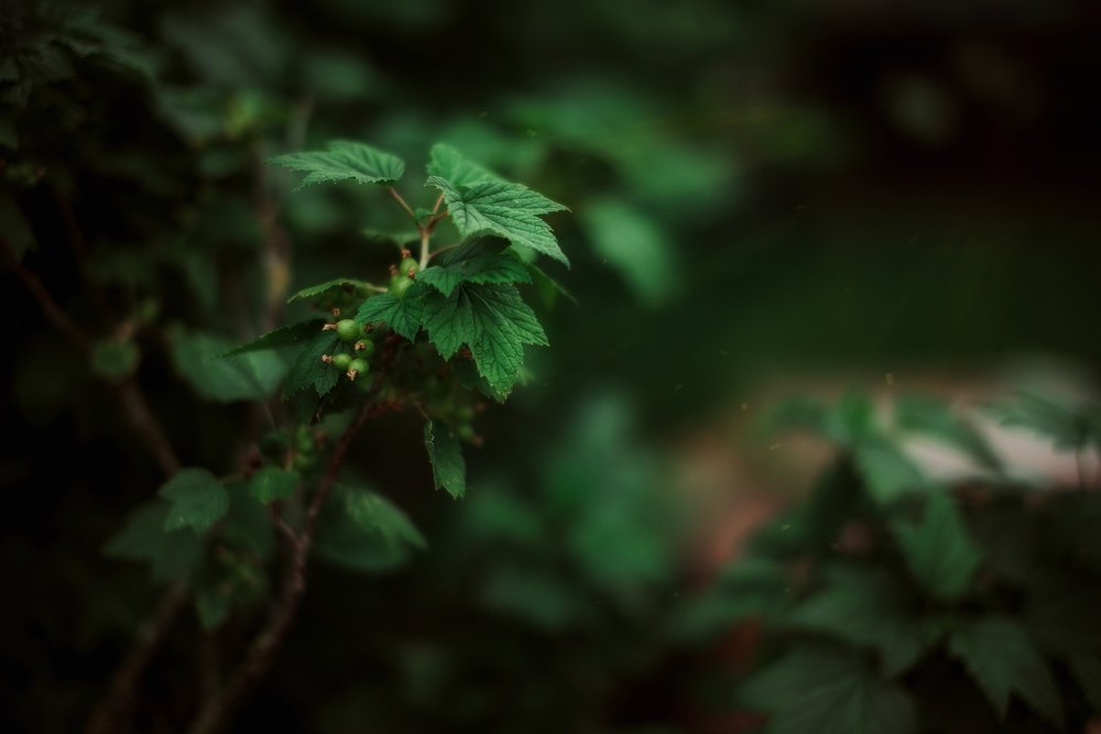 Photograph by Ольга Могдалёва