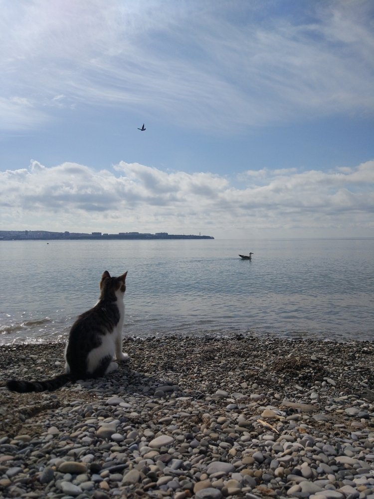 Photograph by Игорь Григорьев