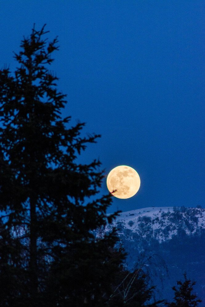 Photograph by Димитар Бирачоски