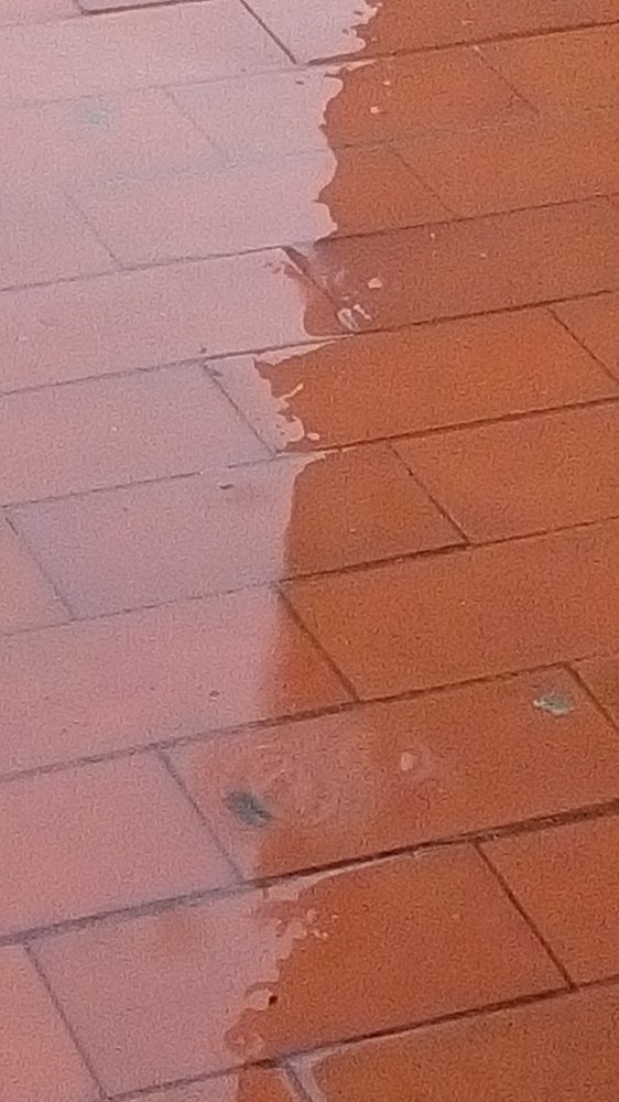 Photograph by Zdravko Ponorac