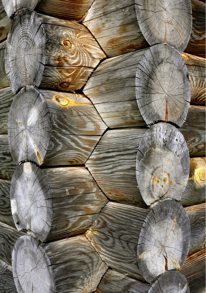 Photograph by Игорь Овсиенко