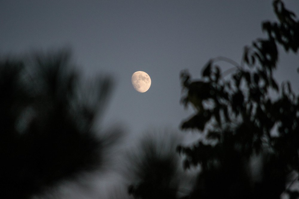 Photograph by Димитар Бирачоски