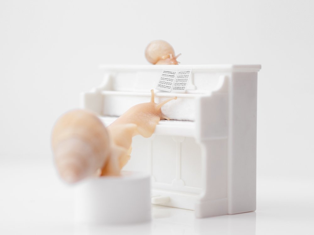 Photograph by Шихалеева 