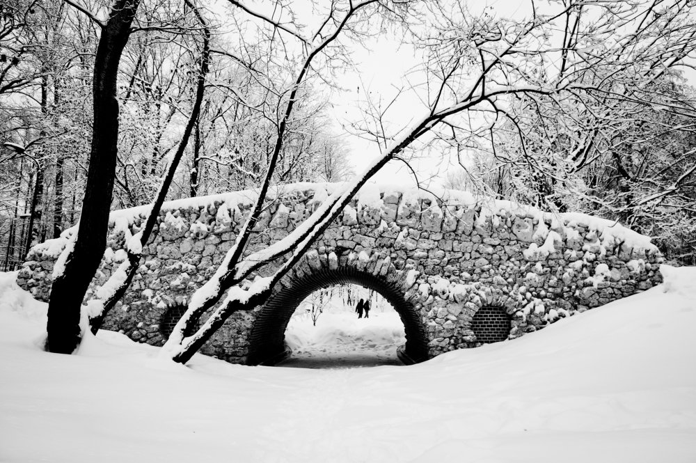 Photograph by Ольга Мендоса