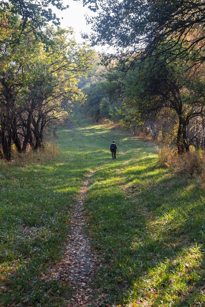 Фотография автора Василий Михайлин