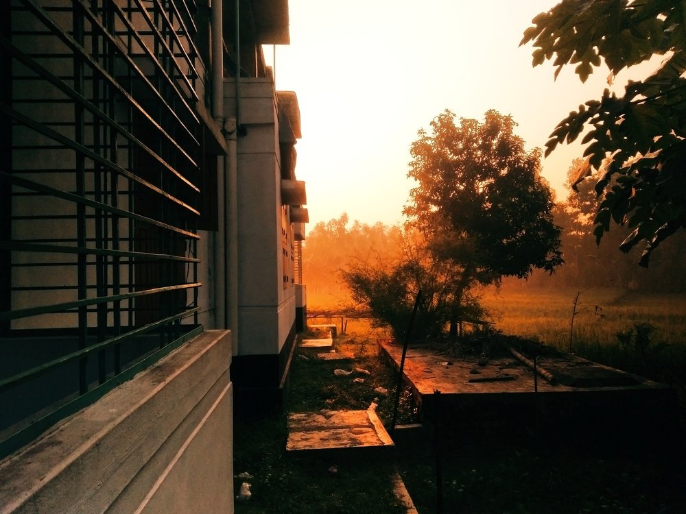 Photograph by Md Abu Sayeed Mondal