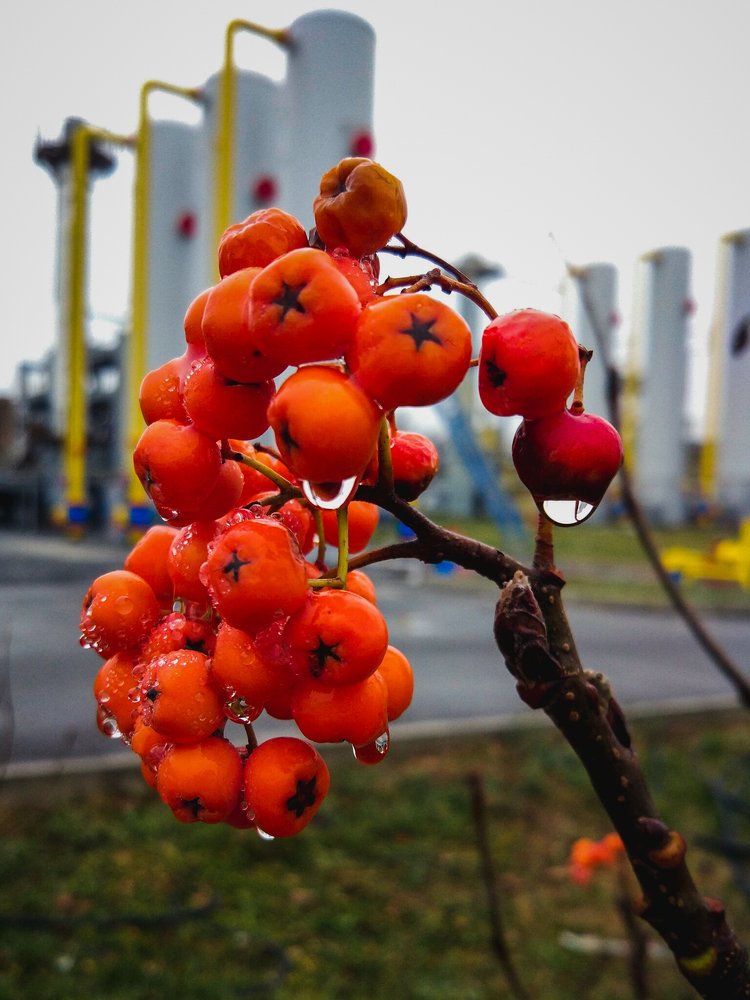 Photograph by Игорь Григорьев