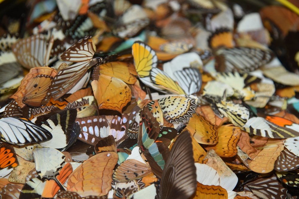 Photograph by Людмила Воропаева