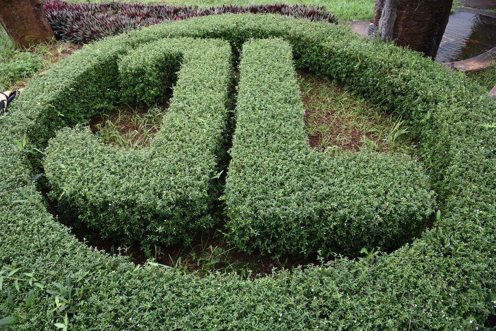 Photograph by Людмила Воропаева