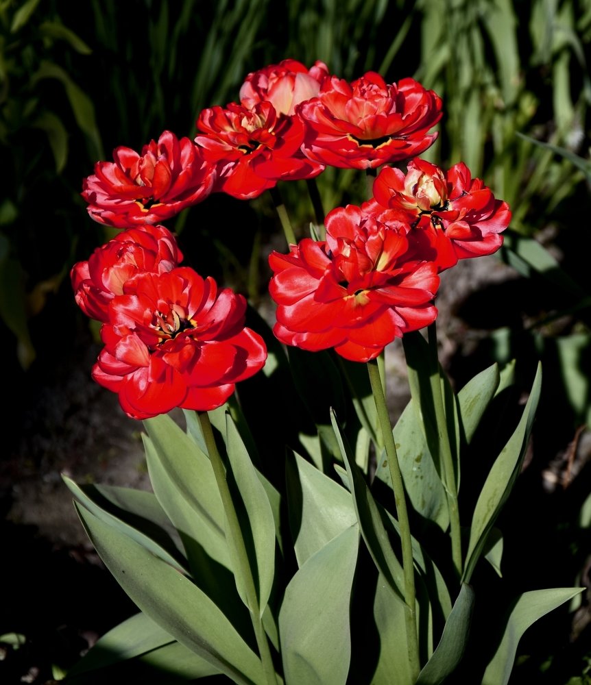 Фотография автора Альбина Хвастунова