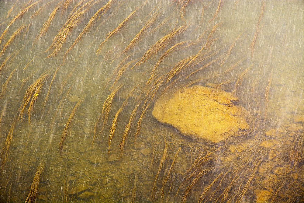 Photograph by Михаил Лавренков