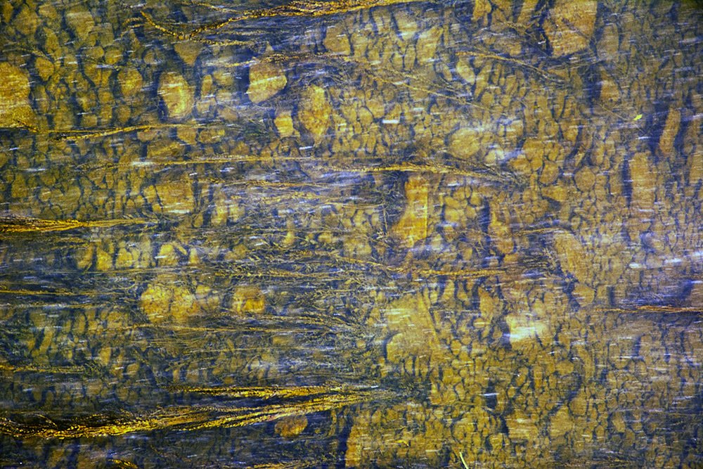 Photograph by Михаил Лавренков