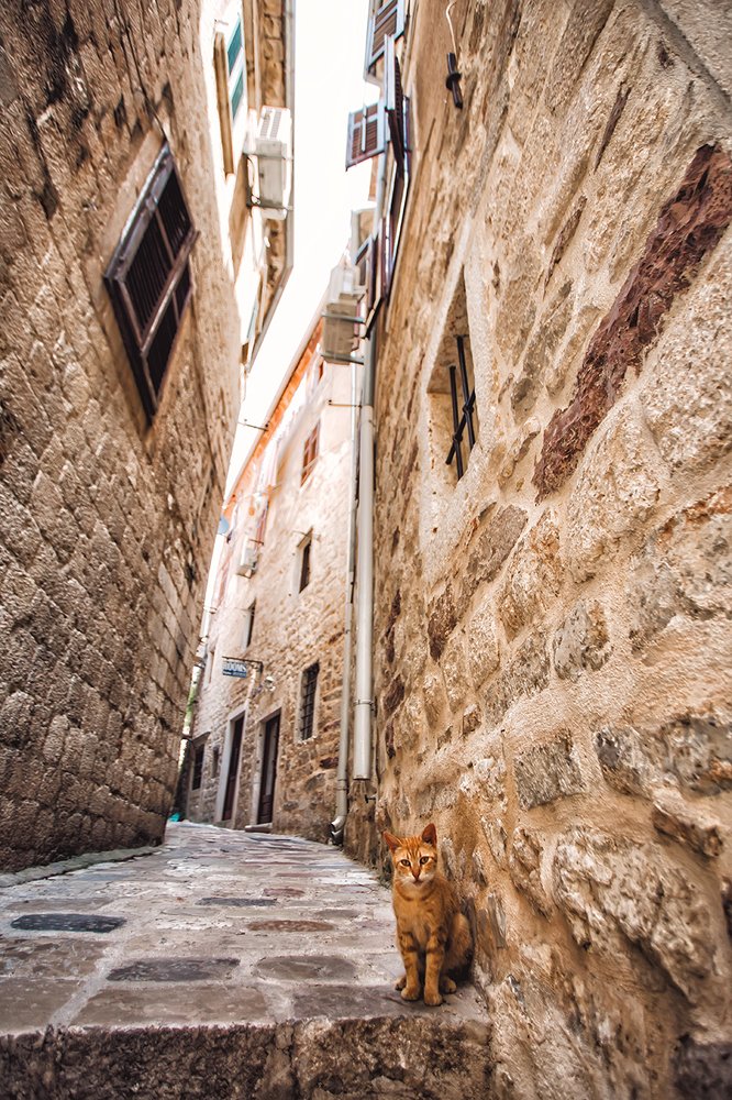 Photograph by Ирина Малина