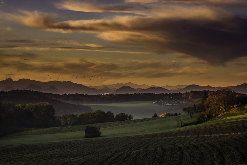 Photograph by Олег Мильбергер