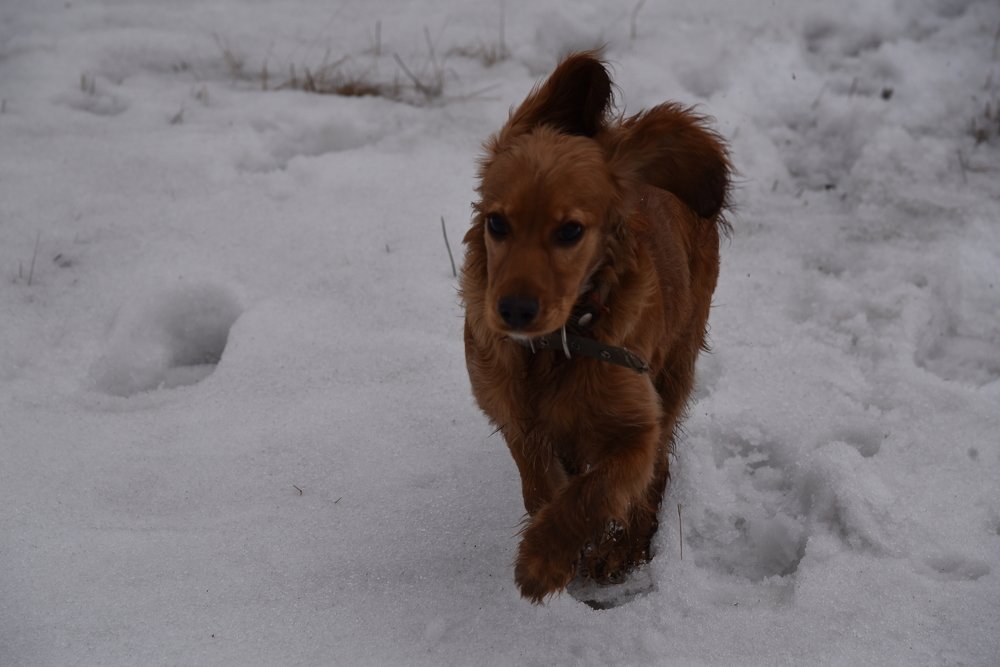 Photograph by Людмила Воропаева