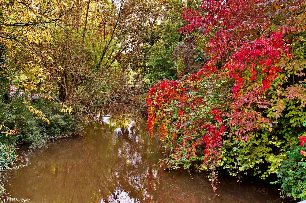Осень в Нойсе