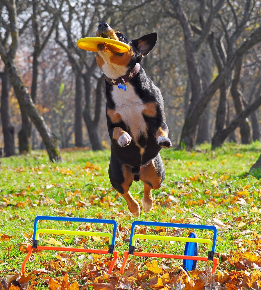 Фотография автора Антип