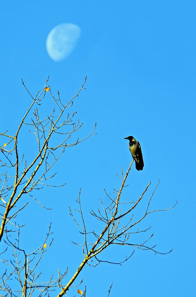 Фотография автора Антип