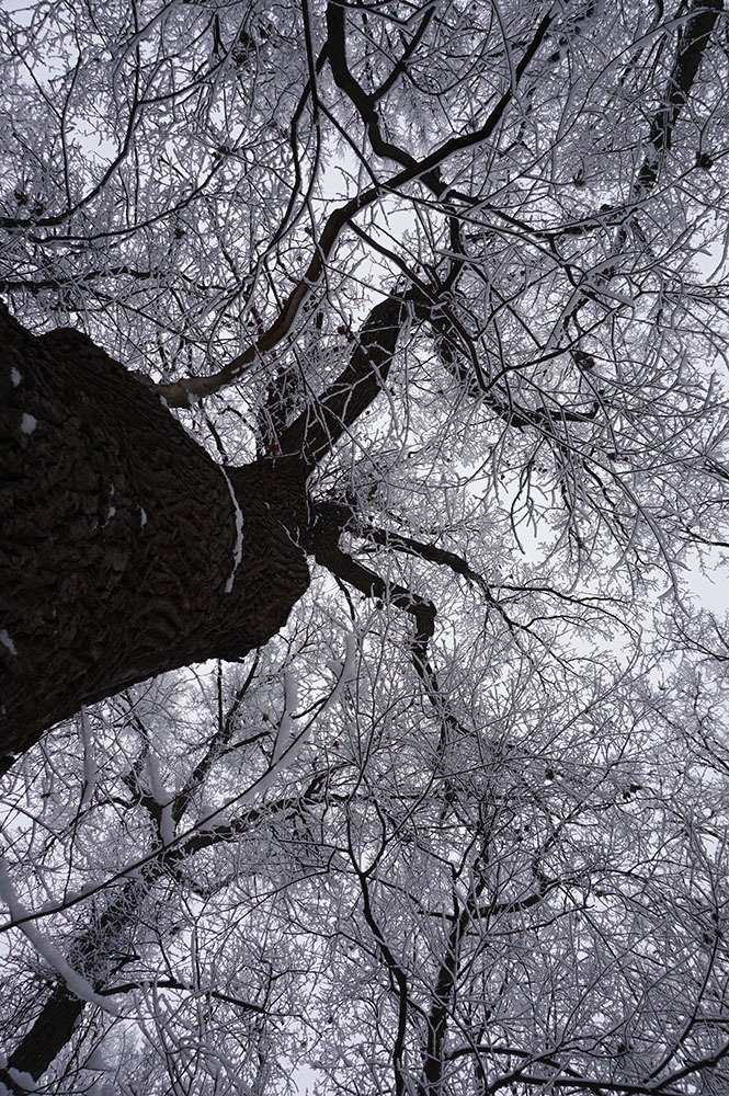 Photograph by Корженевская Лариса Анатольевна