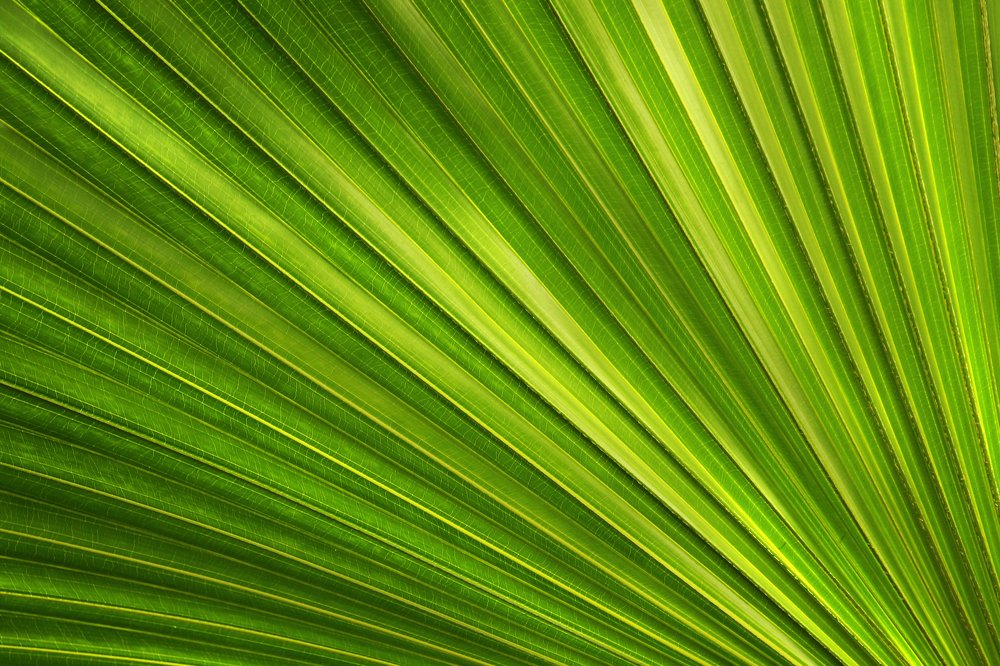 Photograph by Cerasela Draga