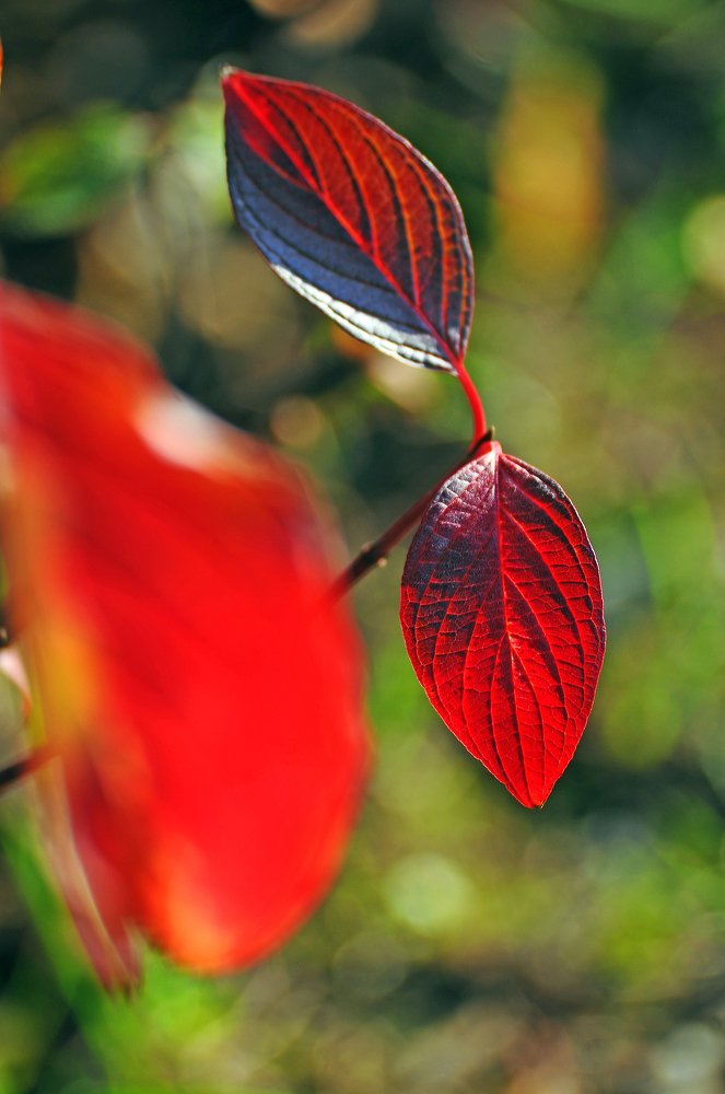 Фотография автора Антип
