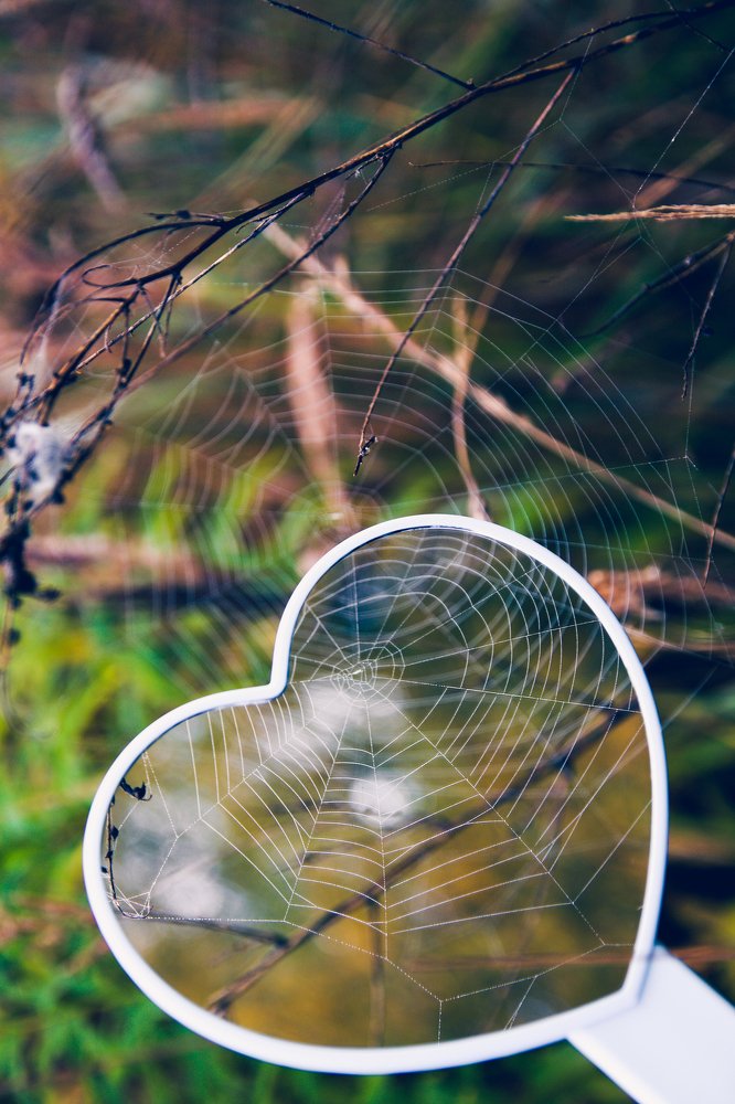 Photograph by Татьяна Мазок