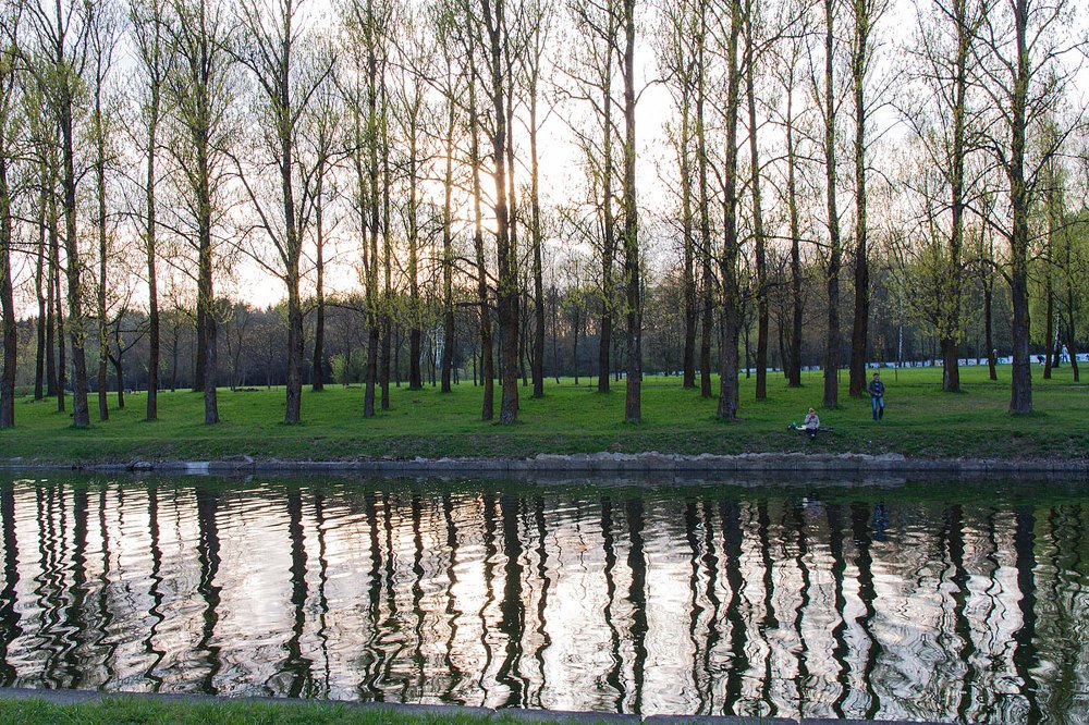 Photograph by Татьяна Мазок