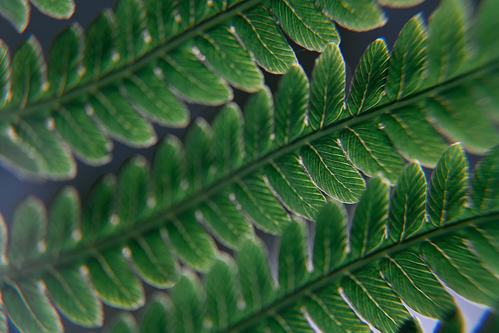 Photograph by Татьяна Мазок