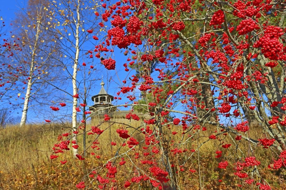 Photograph by Владимир Ларионов