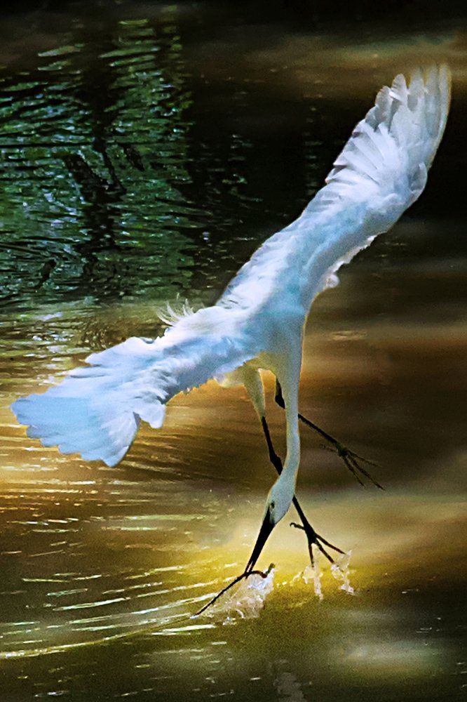 Photograph by Tuan Van Nguyen