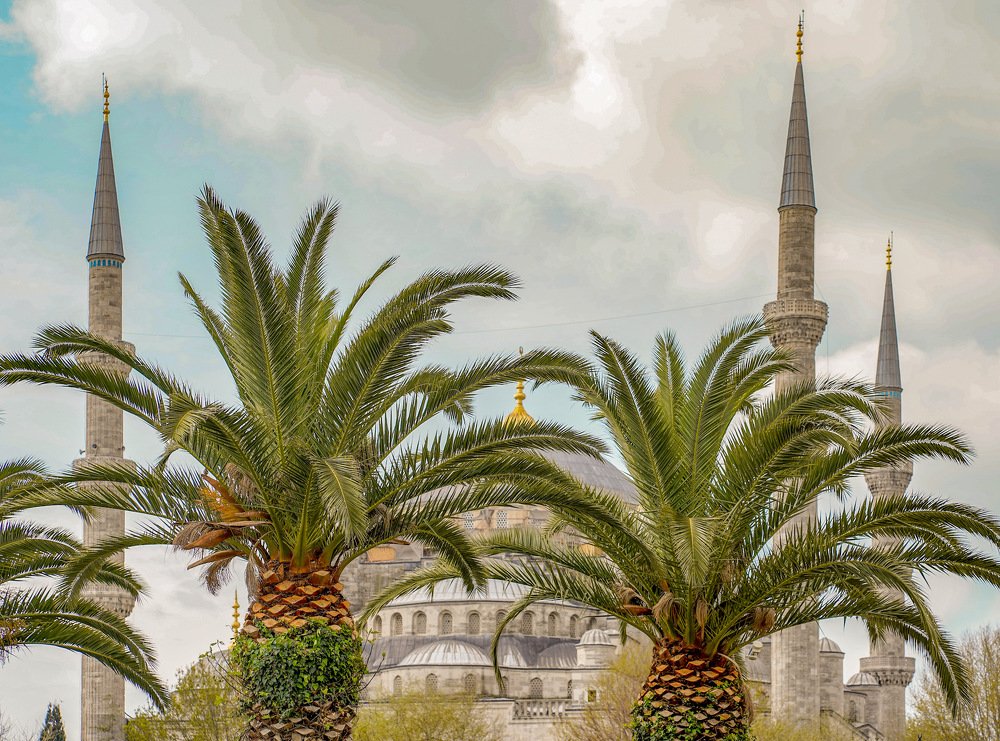 Photograph by Айшат Магомедова