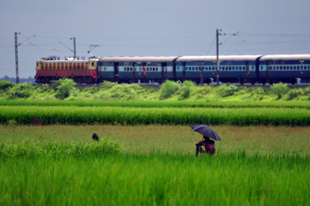 Photograph by Nilimesh Bhowmik
