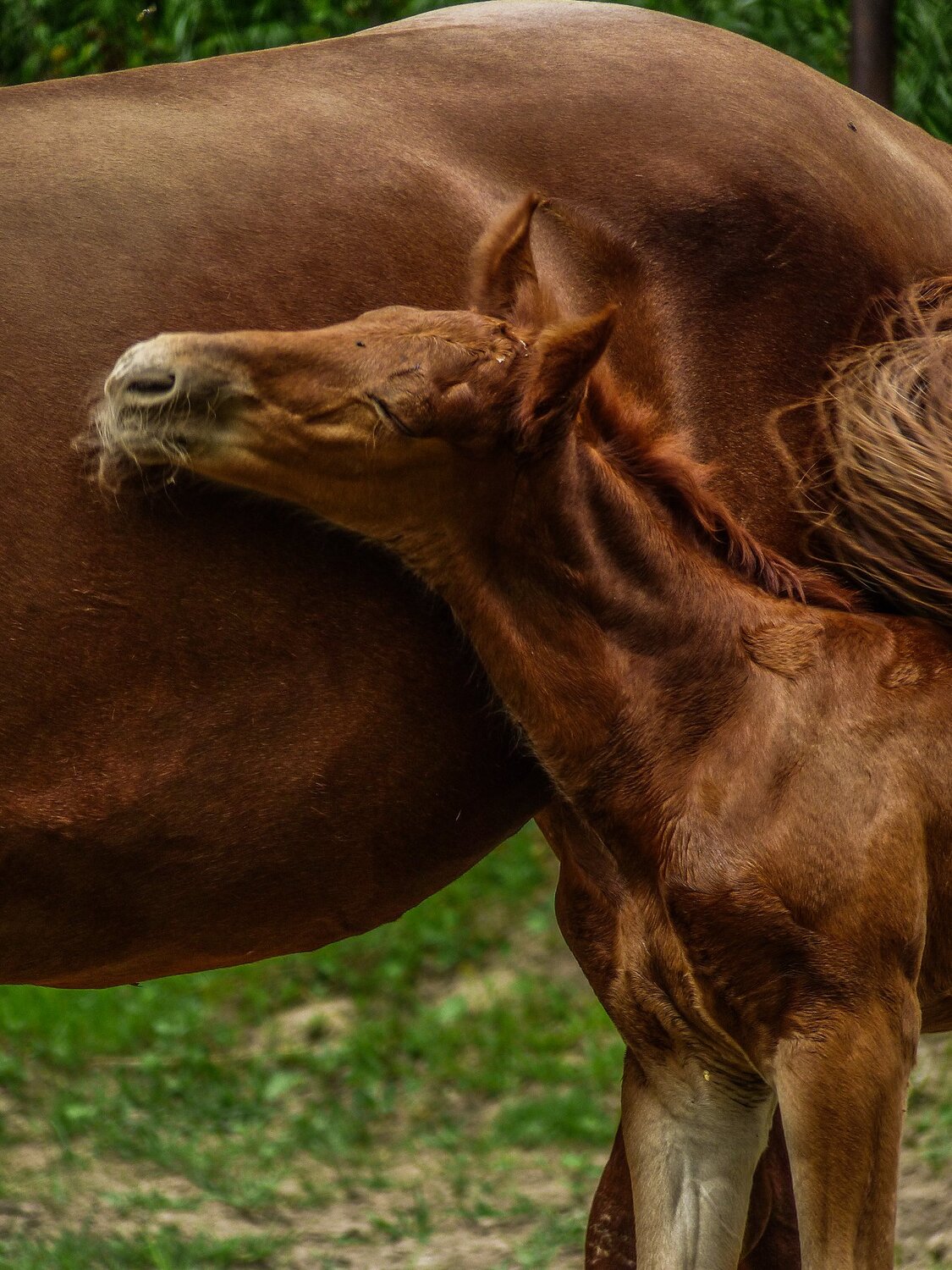 Photo #3753400