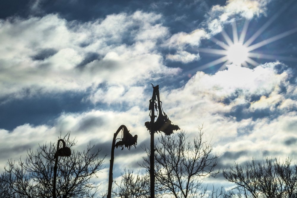 Photograph by Sergey Merkulov